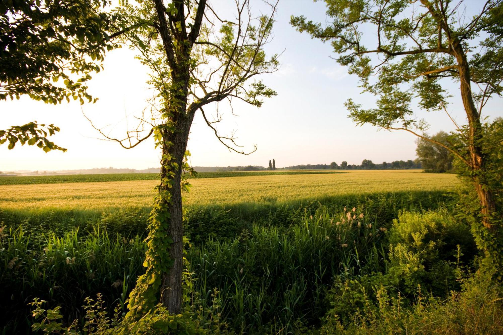 Agriturismo Cascina Roveri Monzambano Buitenkant foto
